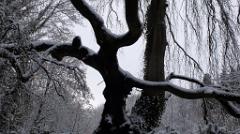 namur220117019