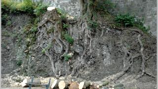 namur160706015