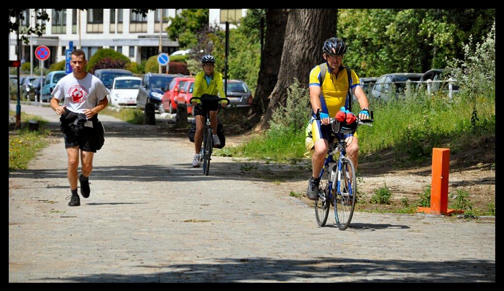 namur030711053