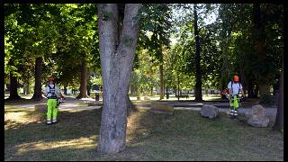 namur2107130082
