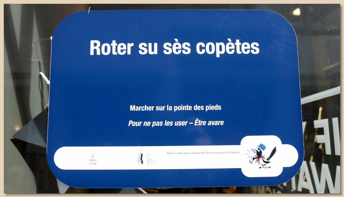 namur300717037