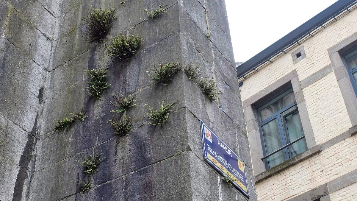 namur0807180106