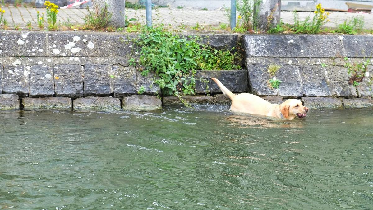 namur1507180145