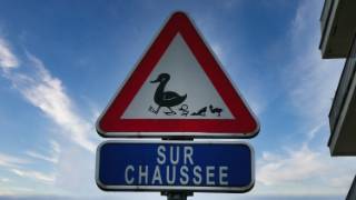 juillet2023303.jpeg