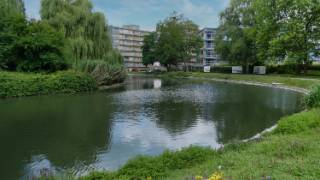 juillet2023486.jpeg