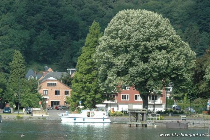 namur250606016