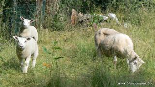 namur240607001