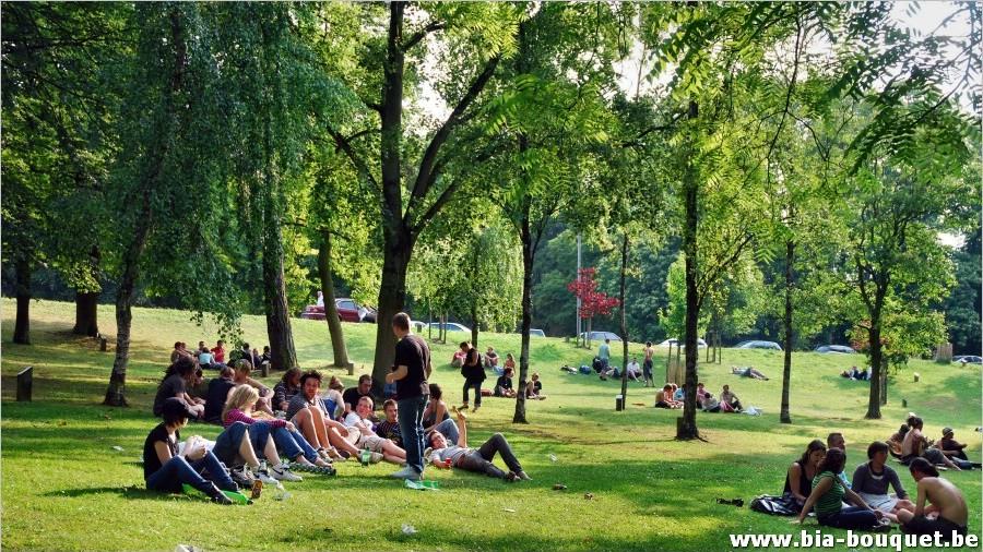 namur280609108