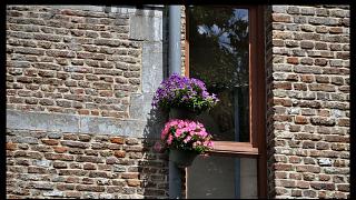 juin2010008a