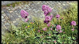 juin2010030a