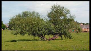 juin2010342a