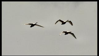 juin2010376a