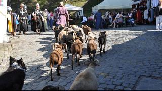 medievales2011186