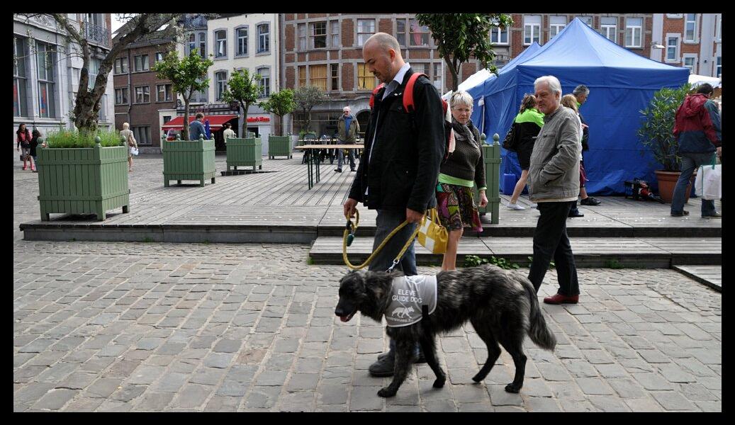 namur1006120314