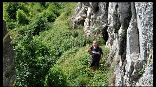 namur1006120044