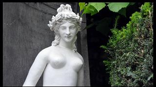 namur1006120194