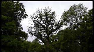 namur0206130003