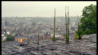 namur0206130097