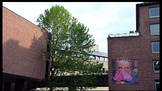 namur0206130130