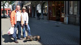 namur0206130137