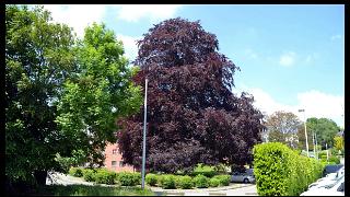 namur0906130039