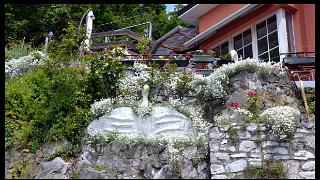 namur0906130045