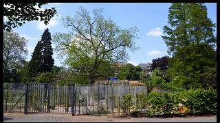 namur0906130062