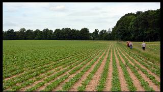 namur230613004