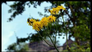 namur230613024