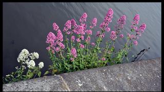 namur230613025