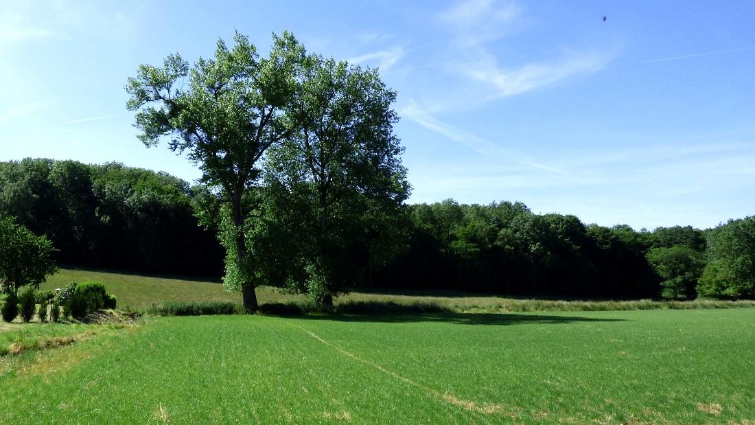 namur210615040