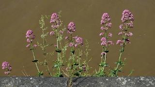 namur120616085