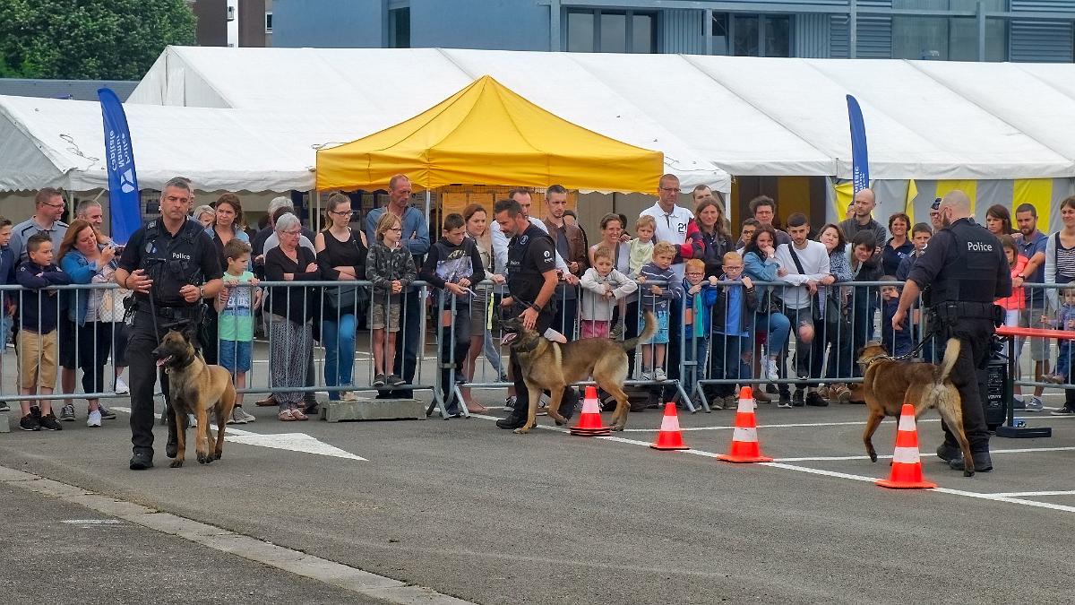 namur0306180130