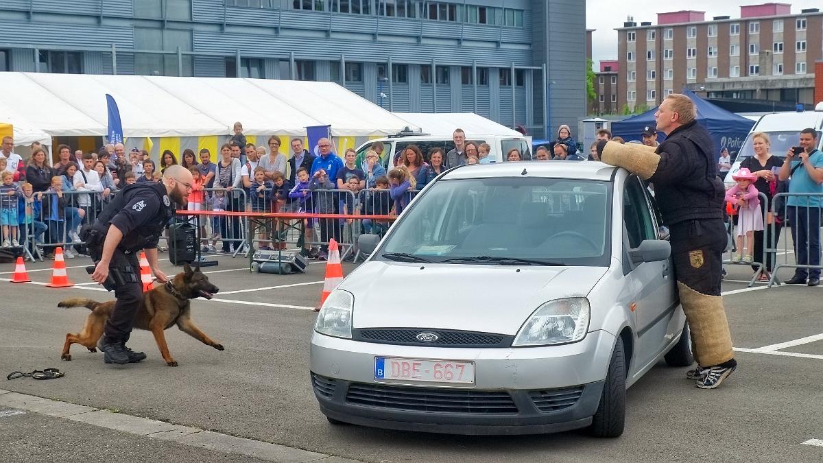 namur0306180133