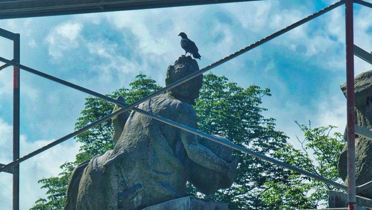 namur1006180046