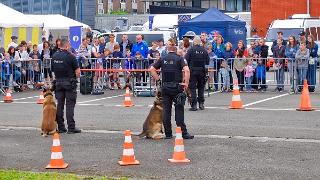 namur0306180122