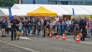 namur0306180130
