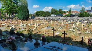 namur1006180132