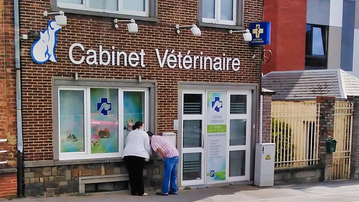 namur090619042