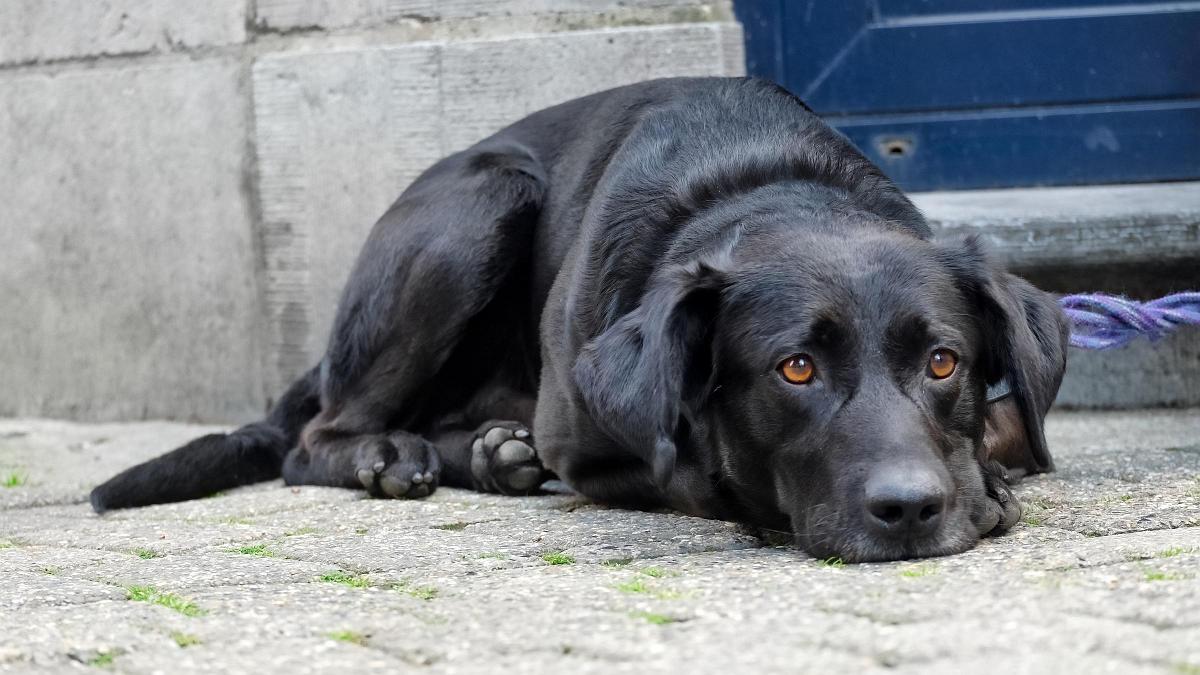 namur090619089