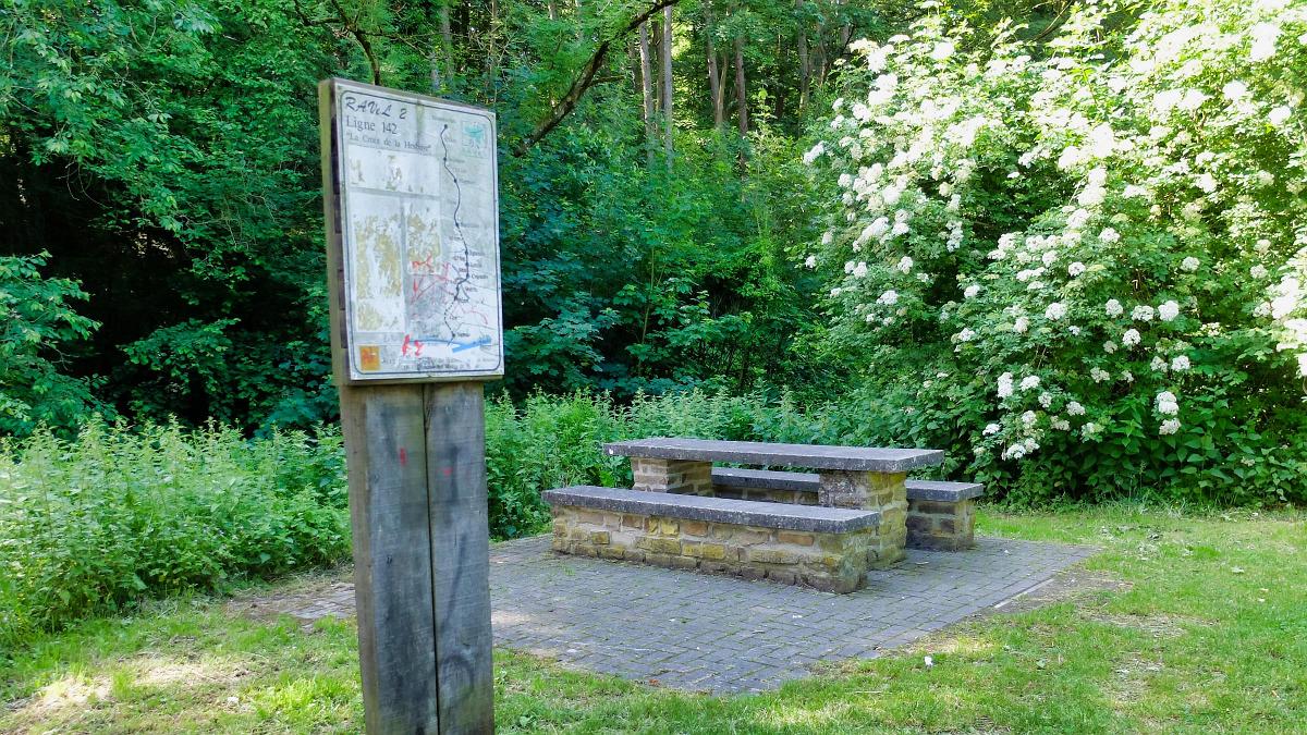 namur230619014