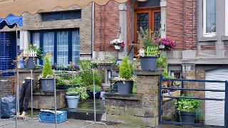 namur020619018