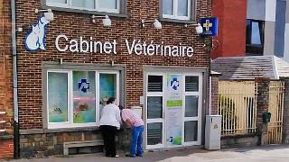 namur090619042