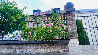 namur160619182