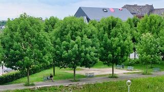 namur160619225