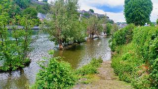namur160619287