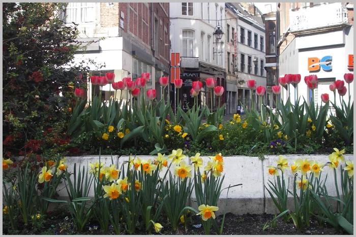 namur070506010