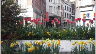 namur070506010