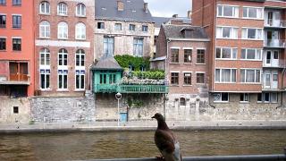 namur280506003