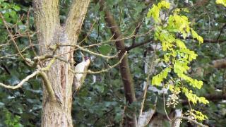 namur130507031